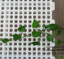 高清圖片下的塑料地板 優勢、選擇與應用